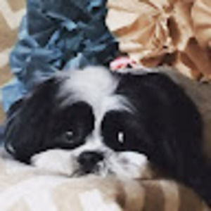 Meet your Posher, Kim and kurtis